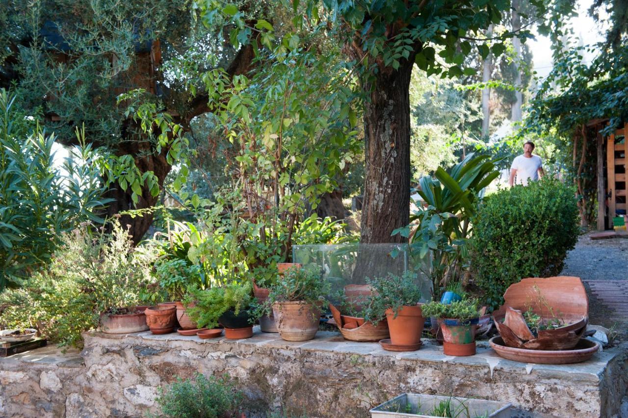 Studios Kyparissi & Spa Tyros Exterior photo